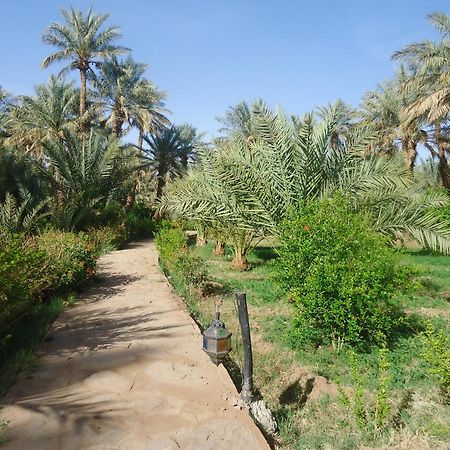 Riad Tagmadarte Ferme D'Hote Zagora Εξωτερικό φωτογραφία