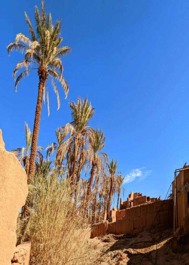 Riad Tagmadarte Ferme D'Hote Zagora Εξωτερικό φωτογραφία