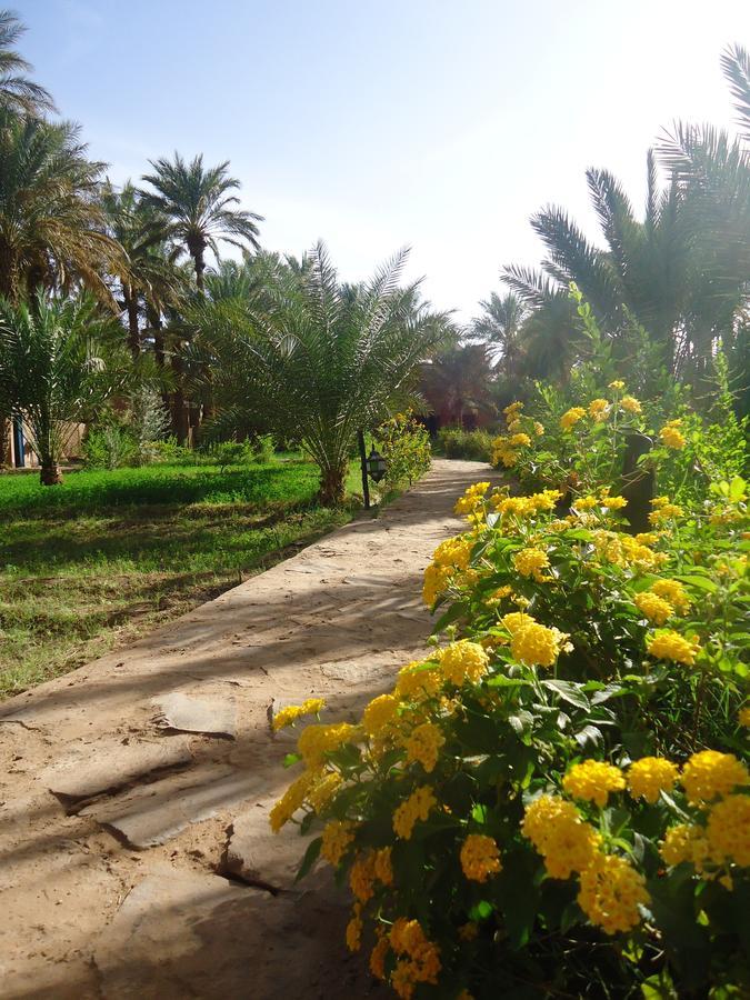 Riad Tagmadarte Ferme D'Hote Zagora Εξωτερικό φωτογραφία