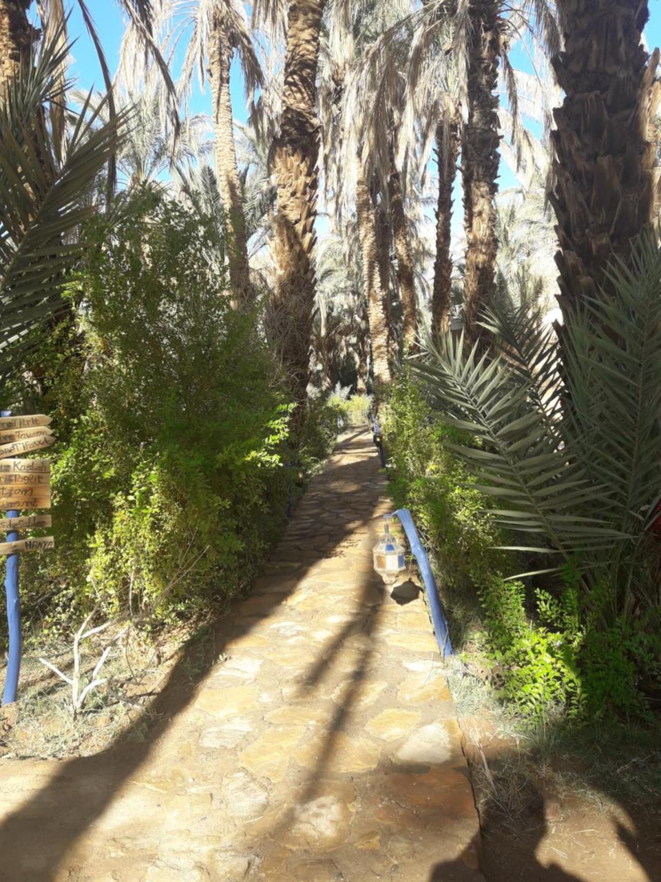 Riad Tagmadarte Ferme D'Hote Zagora Εξωτερικό φωτογραφία