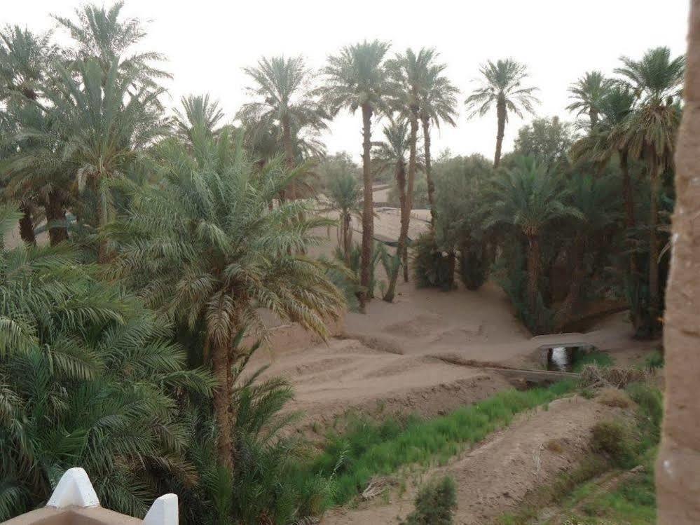 Riad Tagmadarte Ferme D'Hote Zagora Εξωτερικό φωτογραφία